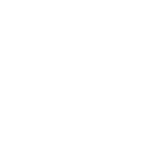 Executive Networking